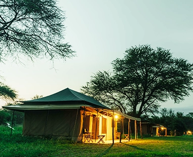 Full-Day Serengeti National Park – 5 Days Upper Mid-range Best of Tanzania adventure